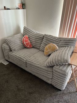Gray Fuzzy Couch