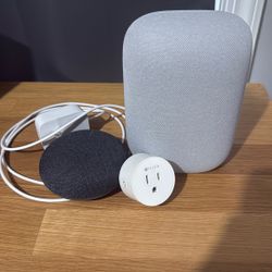 Google Nest Speakers