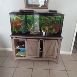 55 Gallon Fish Aquarium