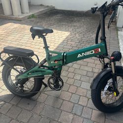 Electric bike