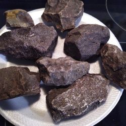 Dinosaurs Fossils 
