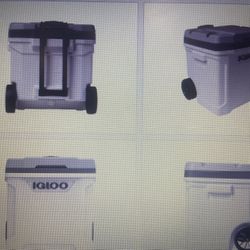 Igloo Cooler 60 Quarter New