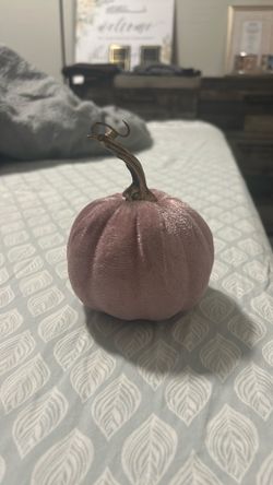 Pink velvet decorative pumpkin/fall decor