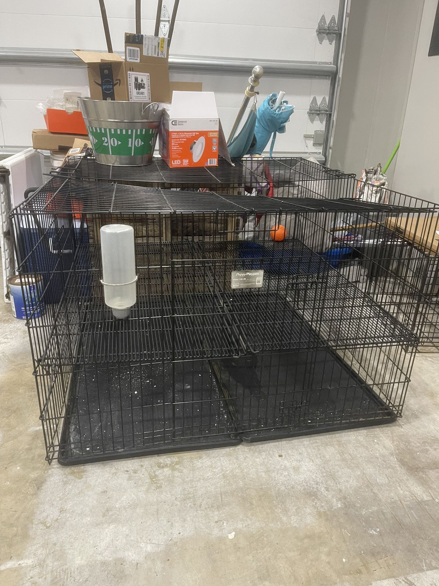 Kennel Puppy Cage Dog Perro 