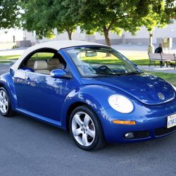 VW Beetle 