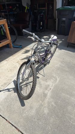 Mountain Bike Trek (mountain track 220)