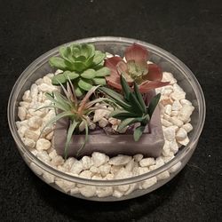 Small 8" Clear Plastic Bowl w/White Rocks & Fake Succulent Plant Table Decor
