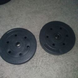 2 Ten Pound Weights