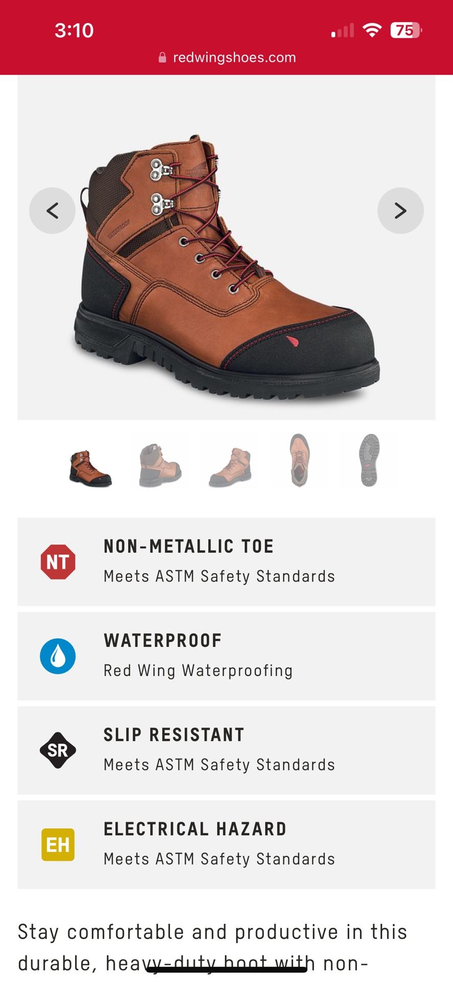 Red Wing - BRNR XP - Size 13
