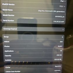 iPad Pro 5th Gen 256 Gb 
