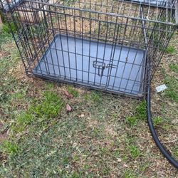 gaula para perro 23x19 In