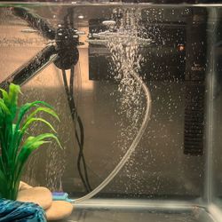 10 Gallon Fish Tank With Stand 