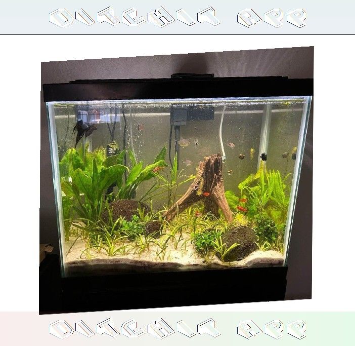 All-Set Aquarium Package - Discover Water World Magic my spend