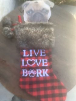 New pet stocking