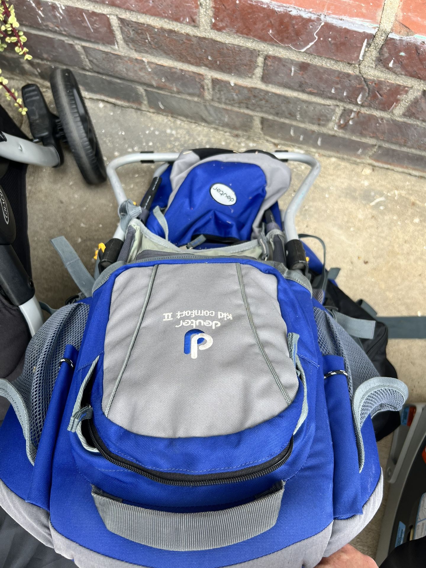 Toddler Hiking Carrier/Backpack