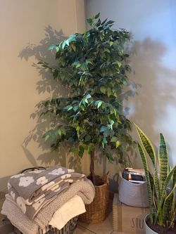 Large Artificial Ficus Tree in Wicker Basket