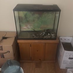 40 Gal Fish Tank And Stand 