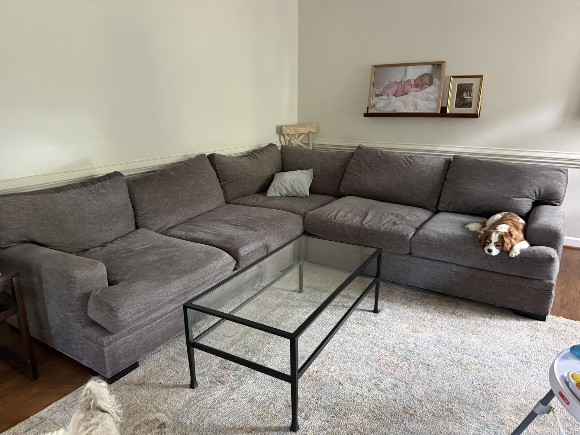 Free Couch