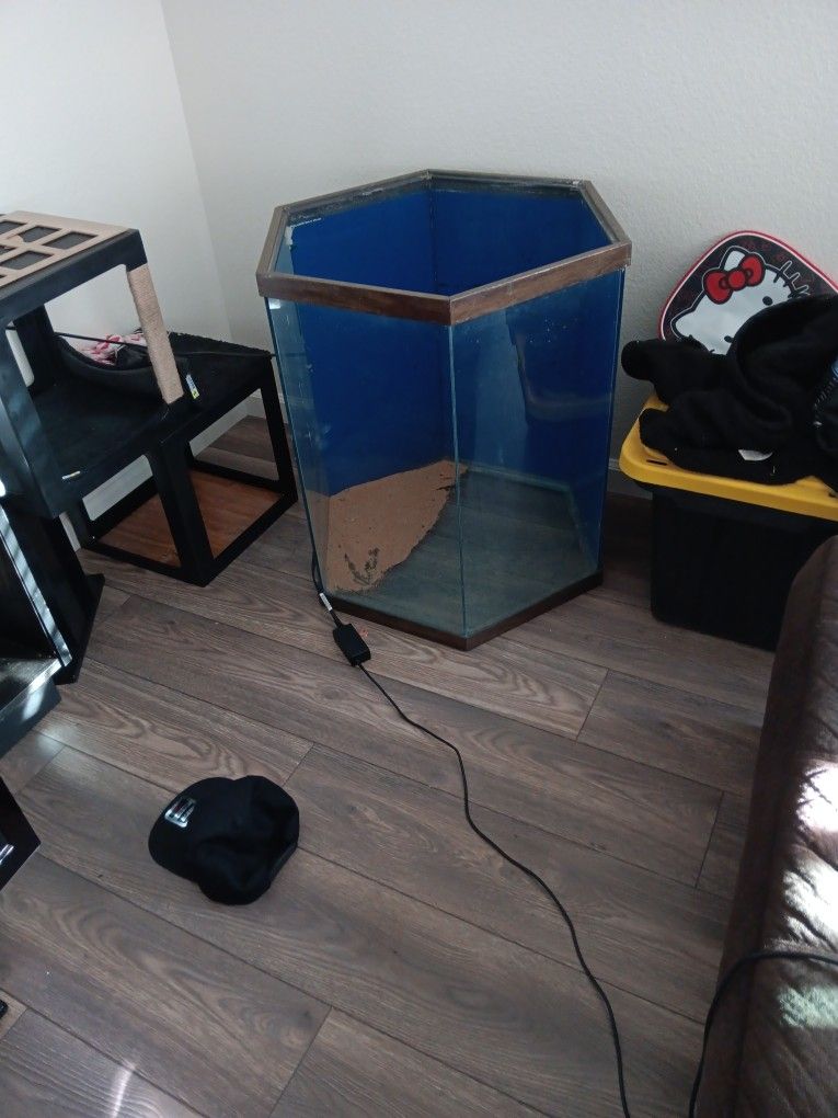 Reptile Tank