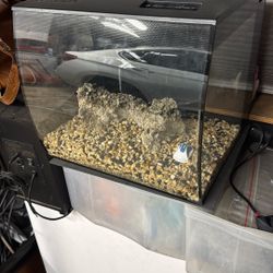 Approximately 6 Gallon Fluval Fish Tank