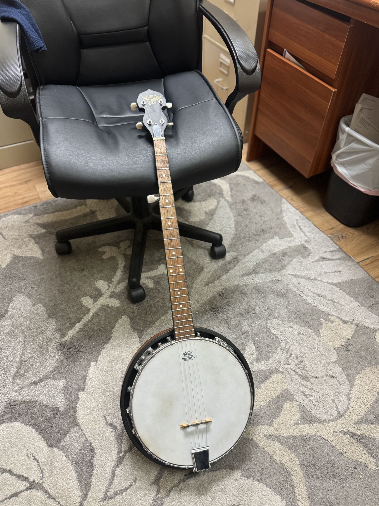 Fresh S101 Full Size Banjo W/ Remo Head