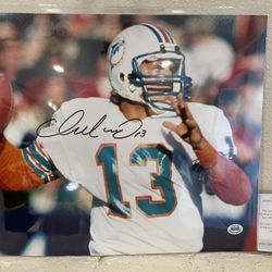 Dan Marino Signed Photo Autographed Miami Dolphins 11x14 Large With COA