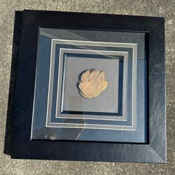 Framed Cast Paw 