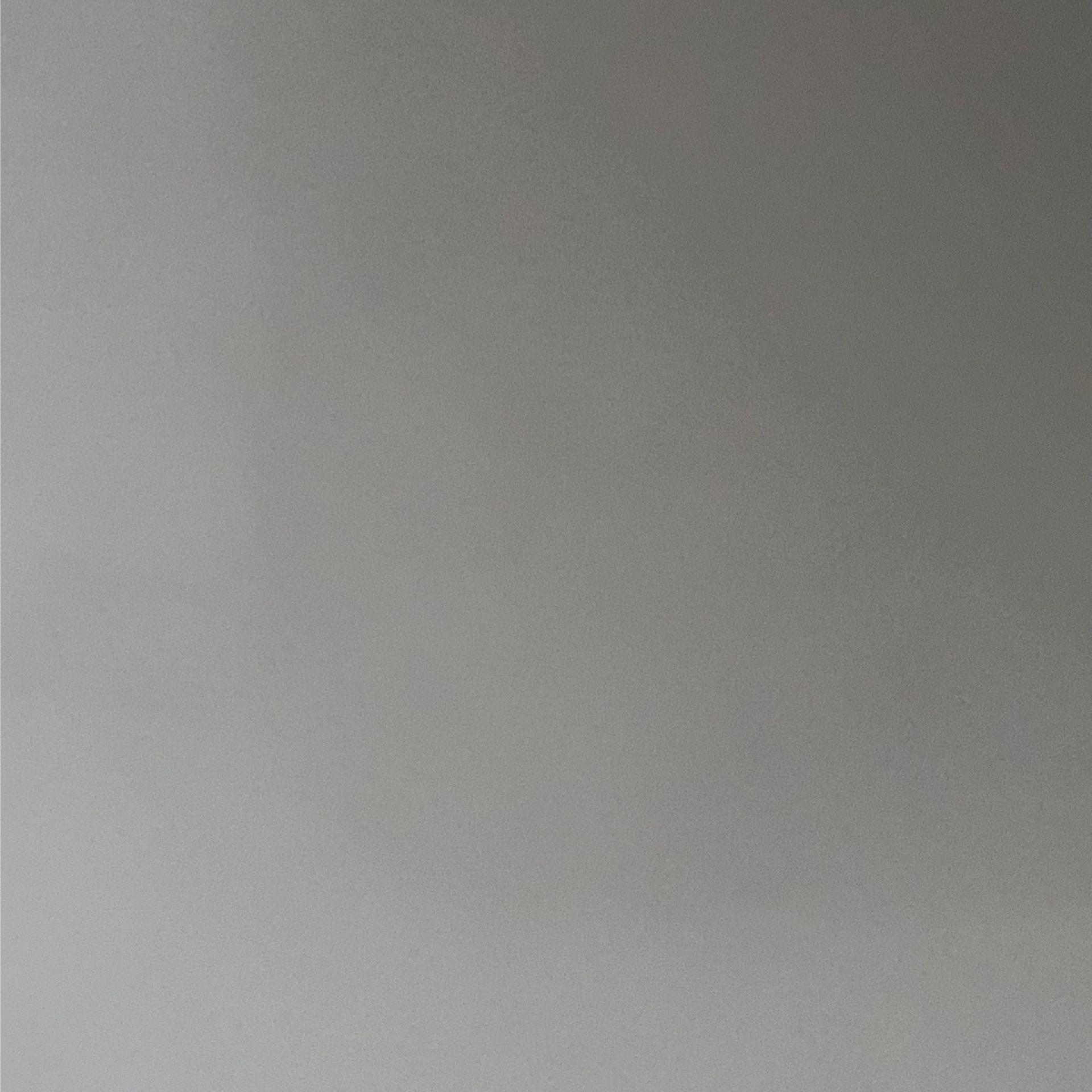 Audi A8 Shock / Air Suspension Strut