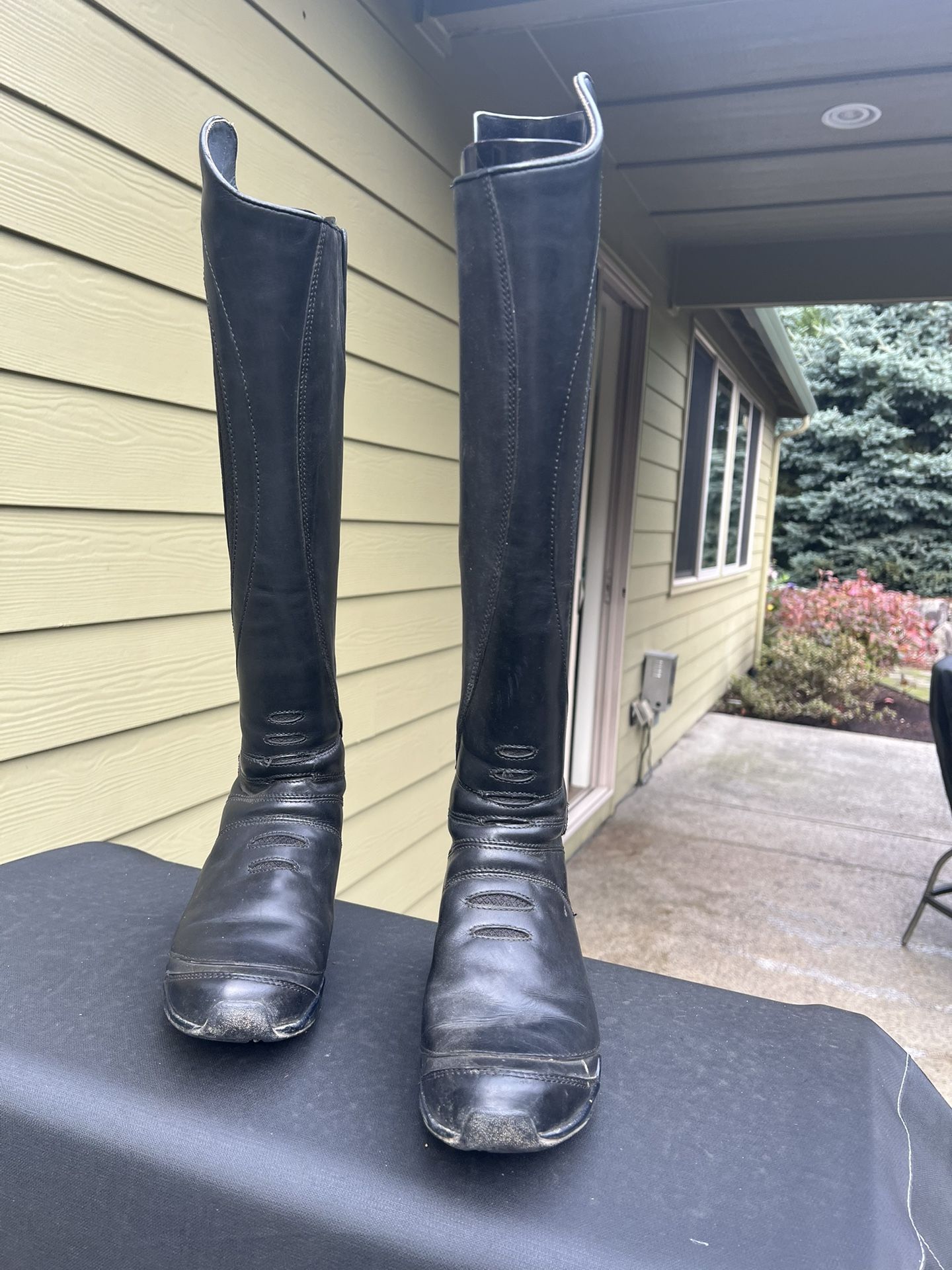 Dressage Boots