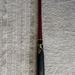 Victus Tatis 23 Maple Wood Bat 32”