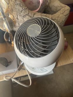 Fan