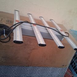 Dehumidifier And Lights 