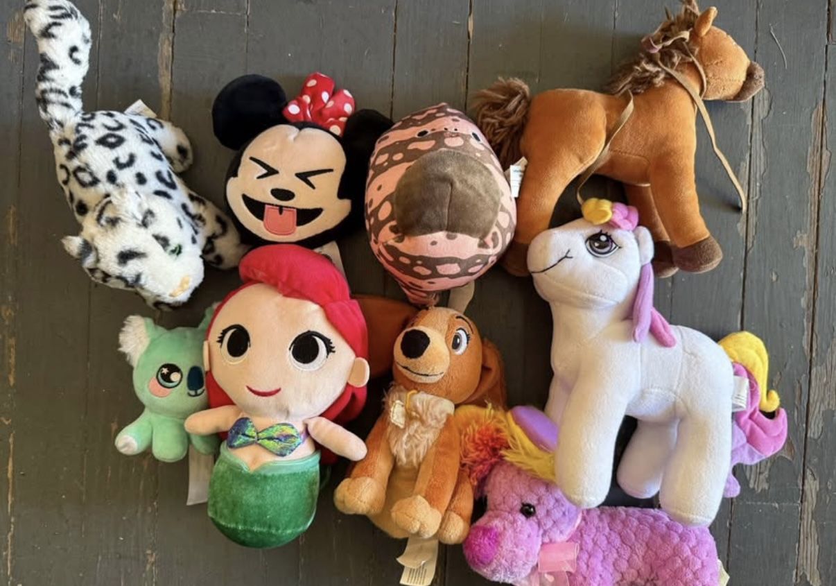 Disney, Ariel, Spirit, Pony, Squishmallow, Minnie, Lady