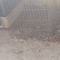 Two Dog Cages 80 For Both Of Them And Come Get It 