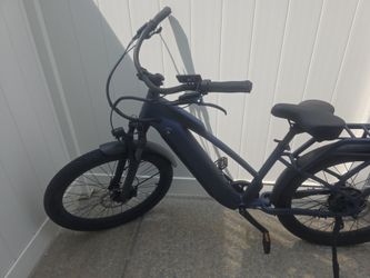 Electric bike