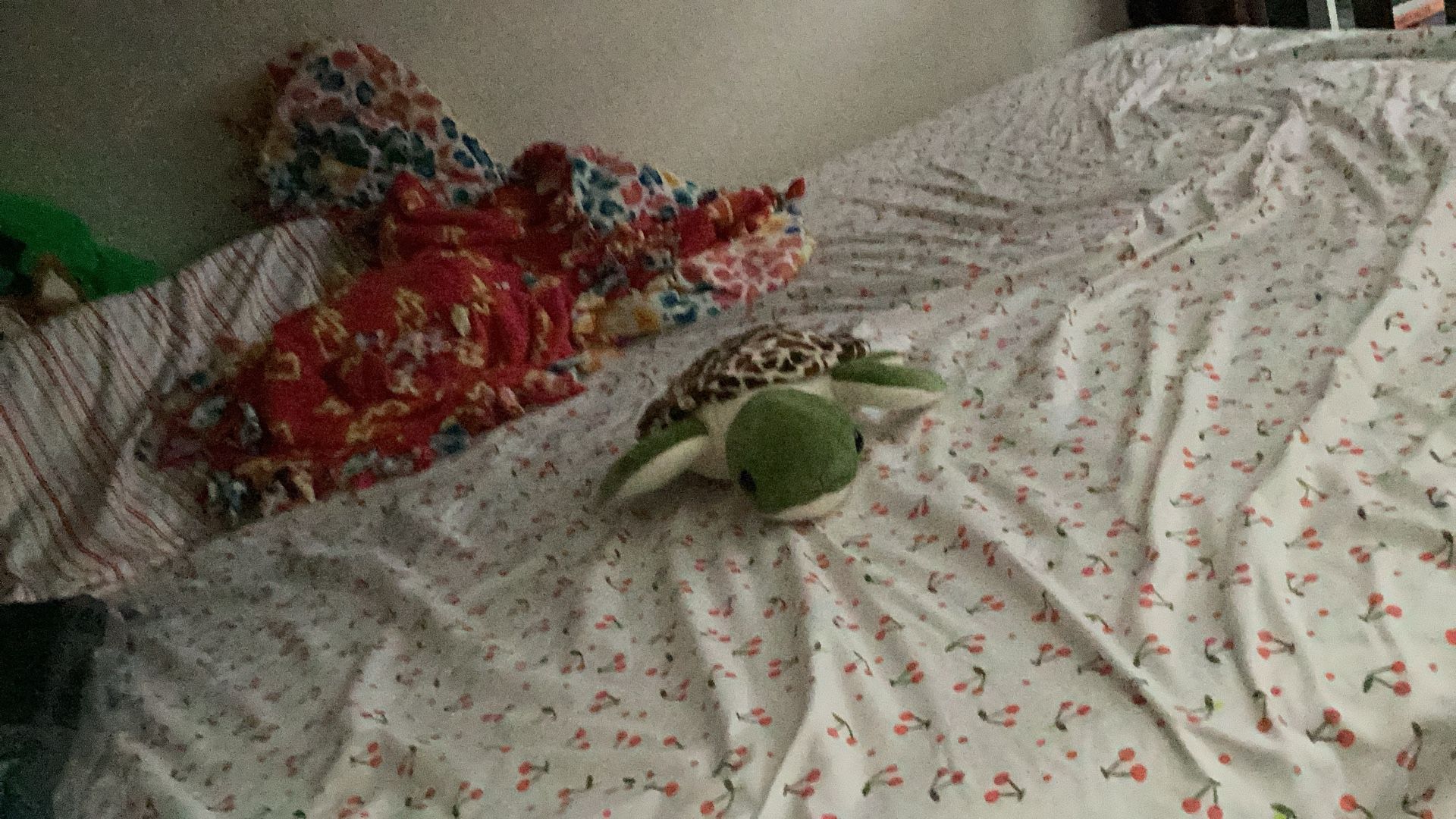 Turtle Plushie