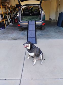 Dog ramp