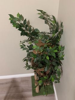 New cat tree