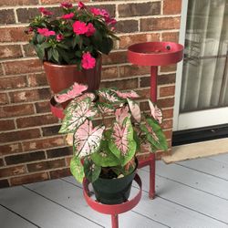 Three Tier Metal Plant Stand
