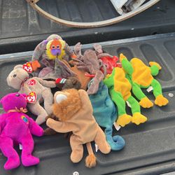 Vintage Beanie Baby Collection  For Sell 