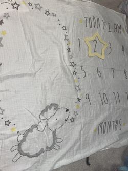 Baby Monthly Milestone Blanket