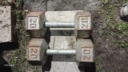 Gym dumbbells