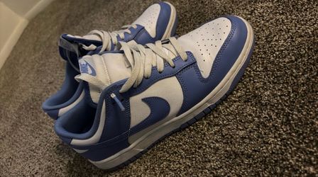 White and baby blue nike dunks