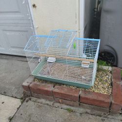 Bird Cage 