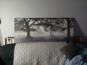 Large Black and White Tree Canvas Wall Art 15$