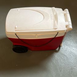 Cooler