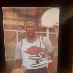 Air Jordan 1 Retro Collector’s Box + Shoes (RARE)