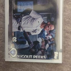 Judge Dugout Peeks 
