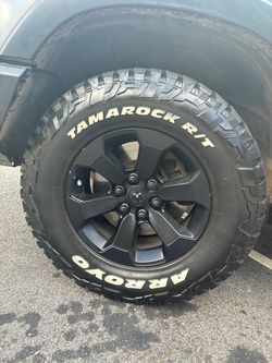 Arroyo tamarock R/T tires (295/70/18)