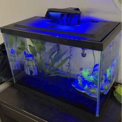 20 Gal Aquarium